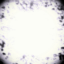 Similar image 8746458