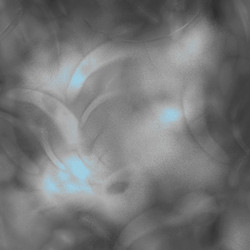 Similar image 8746833