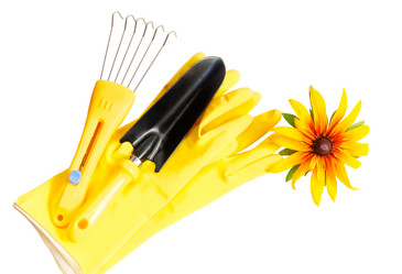 Similar image 8747468