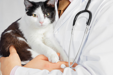 Similar image 8748568