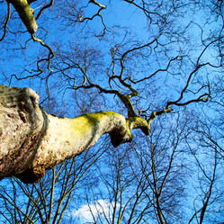 Similar image 8749150