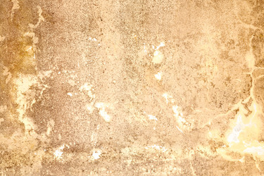 Similar image 8749323