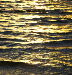 Similar image 8749661