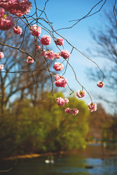 Similar image 8749821