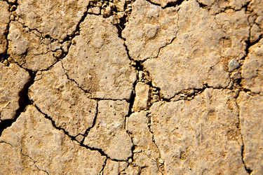 Similar image 8754115