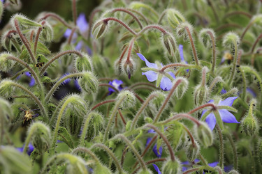 Similar image 8754135