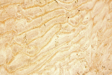 Similar image 8754141