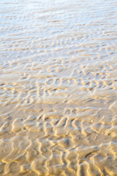 Similar image 8754489