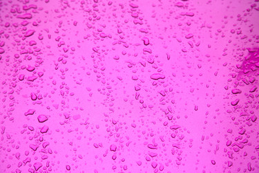 Similar image 8754694