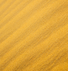 Similar image 8754862