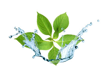 Similar image 8756326