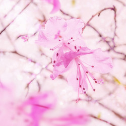 Similar image 8759668