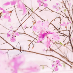 Similar image 8759672