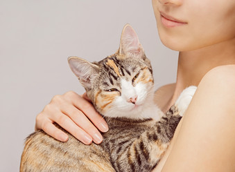 Similar image 8759677