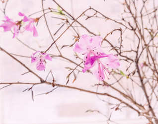 Similar image 8759779