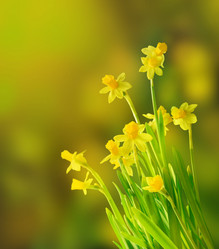 Similar image 8759781