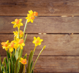 Similar image 8759786