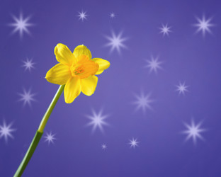 Similar image 8759790