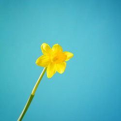 Similar image 8759793