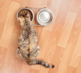 Similar image 8759874