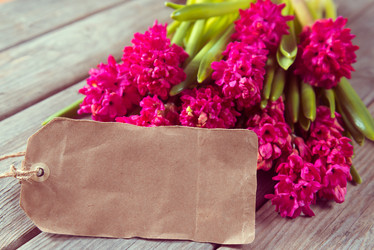 Similar image 8759886