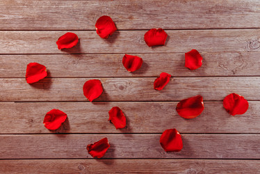 Similar image 8759992