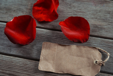 Similar image 8760001