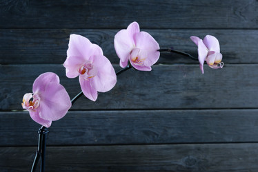 Similar image 8760005