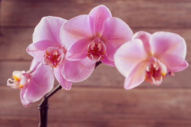 Similar image 8760074