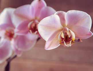 Similar image 8760076