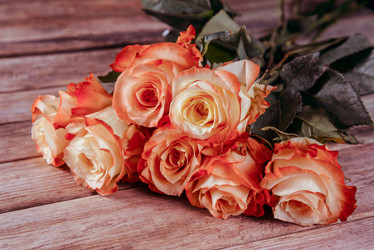 Similar image 8760079