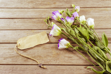 Similar image 8760085