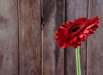 Similar image 8760088