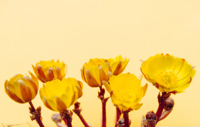 Similar image 8760214