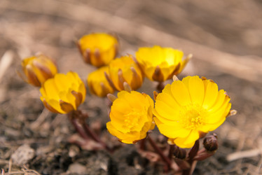 Similar image 8760216