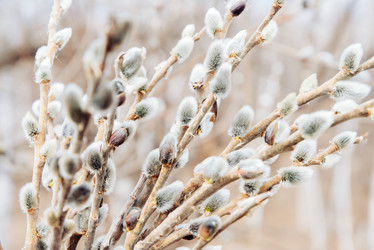 Similar image 8760455