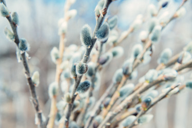 Similar image 8760457