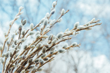 Similar image 8760461