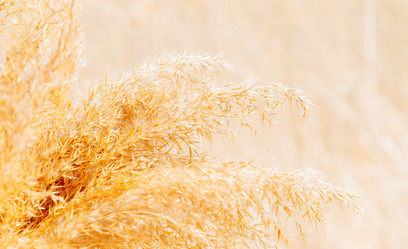 Similar image 8761494