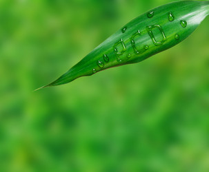 Similar image 8761503