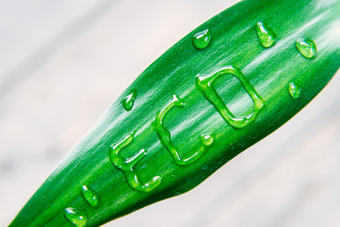 Similar image 8761506