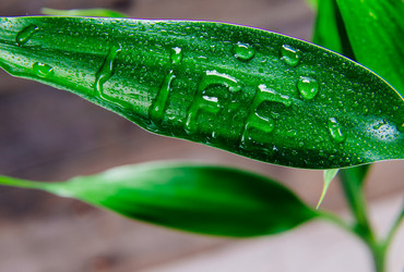 Similar image 8761508