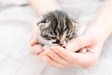 Similar image 8761512