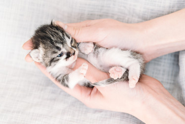 Similar image 8761517