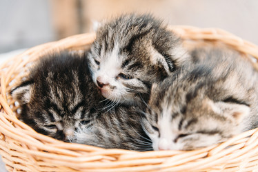 Similar image 8761521