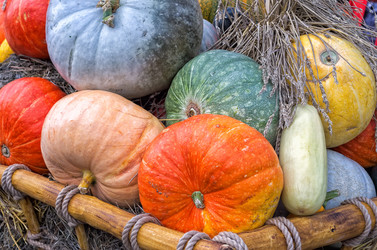 Similar image 8787954