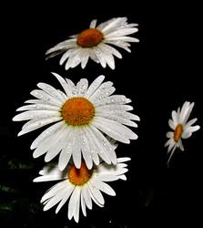 Similar image 8787966