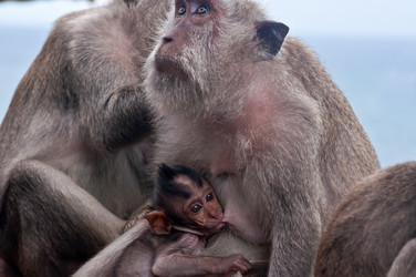 Similar image 8788149