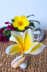 Similar image 8788437