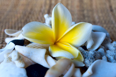 Similar image 8788443